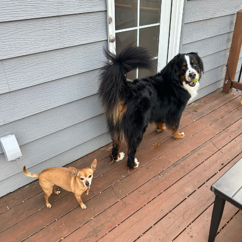 Photo of Sam and Bill