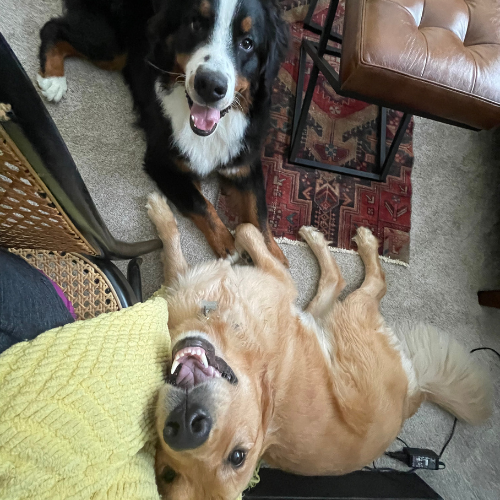 Photo of Sam and Goose again