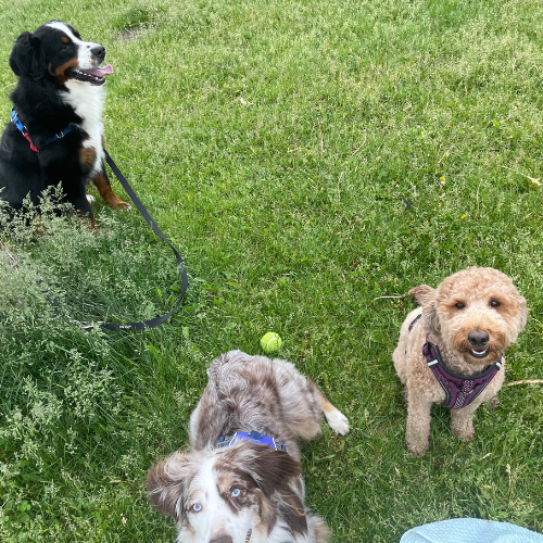 Photo of Sam and Lilly