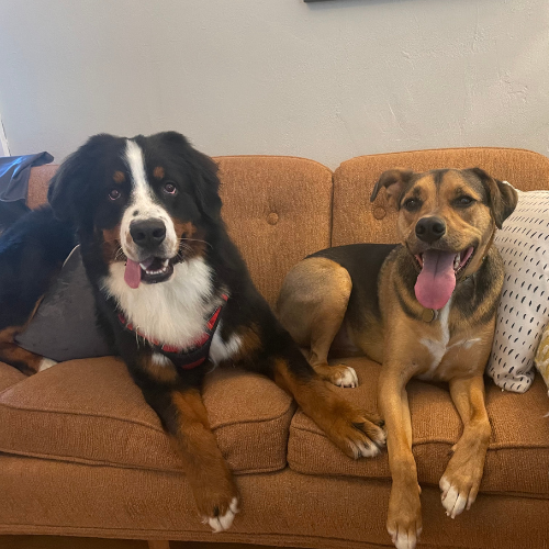 Photo of Sam and Louie