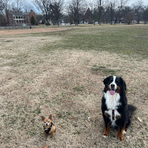 photo of Sam and Bill