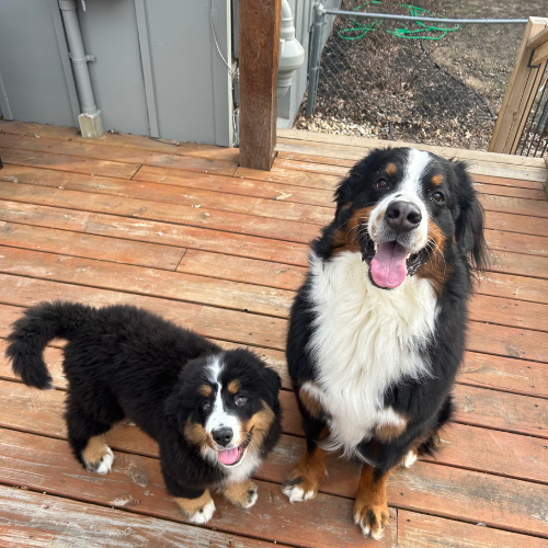 photo of Sam and Maisie