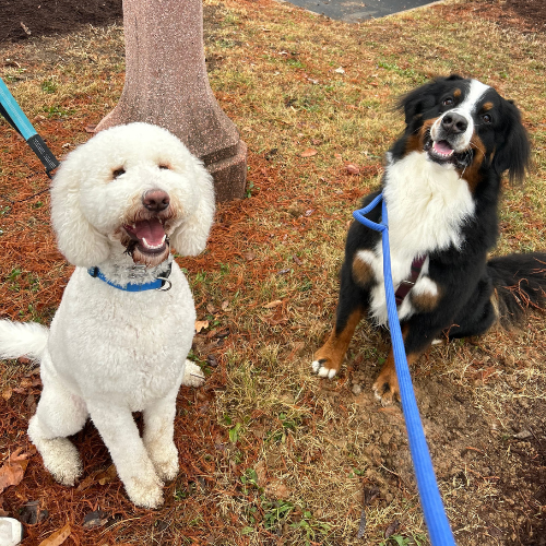 photo of Sam and Rufus